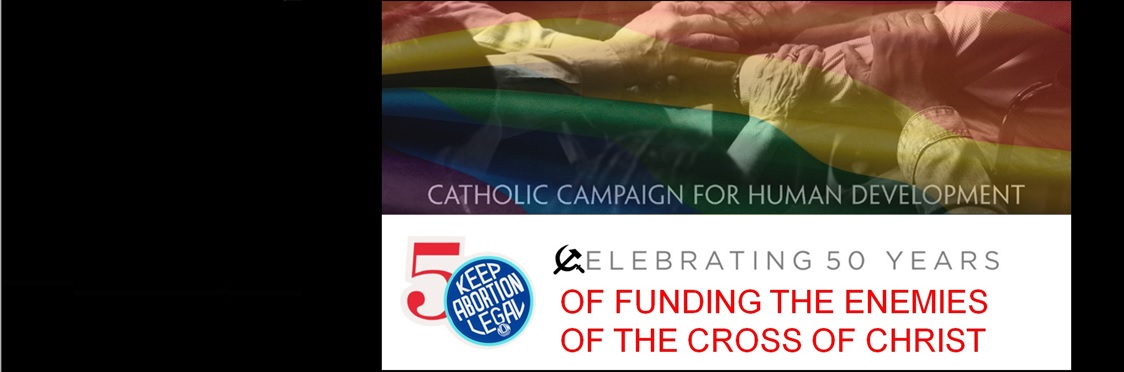 Report on Grantees of the Catholic Campaign for Human Development for FY 2020-2021